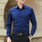 Business Shirt Fashion