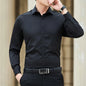 Business Shirt Fashion